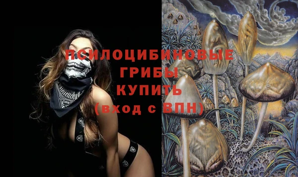 дживик Баксан